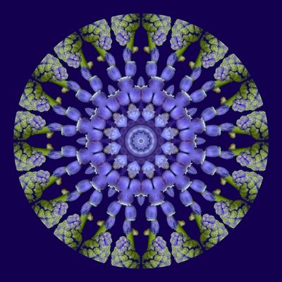 Kaleidoscopic picture created with a small flower in my garden