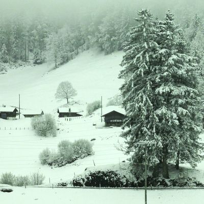 Picture taken through the window of the moving train