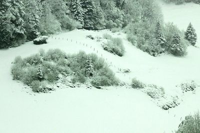 Picture taken through the window of the moving train