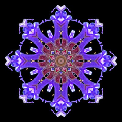 g13/54/24354/3/175040820.5413d5fe.JPEG