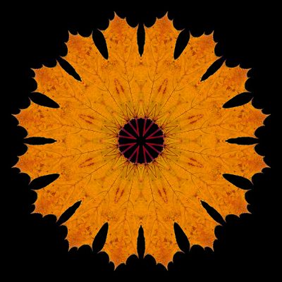 Kaleidoscopic picture created with an autumn leaf seen in November