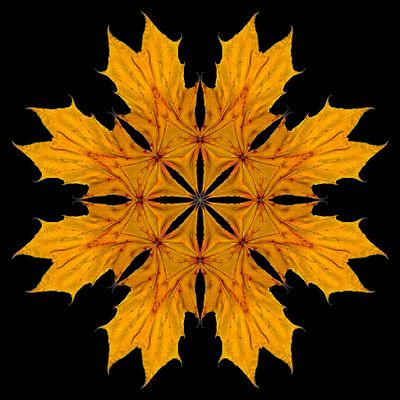 Kaleidoscopic picture created with an autumn leaf seen in November