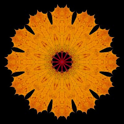 Kaleidoscopic picture created with an autumn leaf seen in November