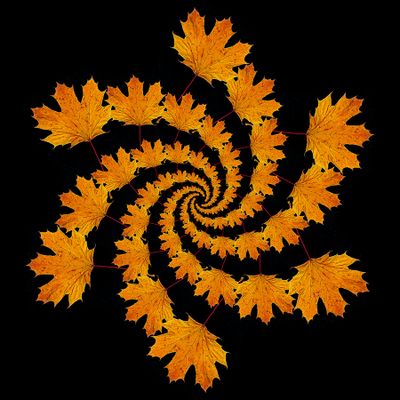 Spiral creation with an autumn leaf seen in November
