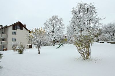 My backyard in snow
