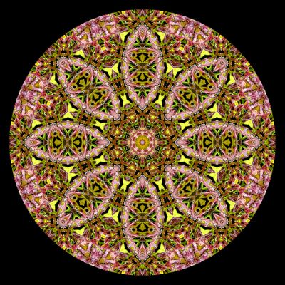 g13/54/24354/3/175347726.ec4c2074.JPEG