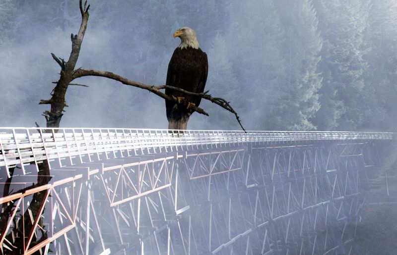 Maria Hansen2023 CAPA ArtisticEagle on the Kinsol Trestle