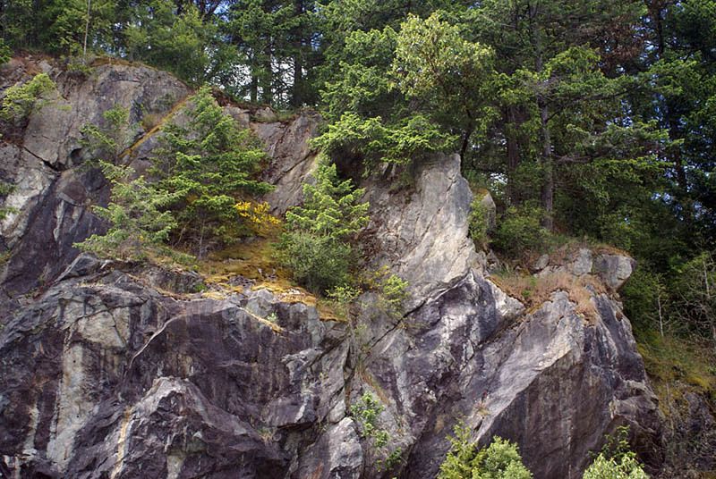 Trish Rankin2024 Pacific ChallengeMalahat Cliffs