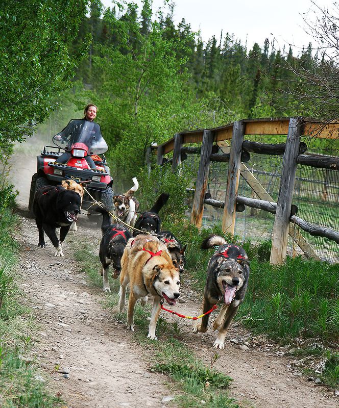 Bob Skelton2024 Pacific ChallengeYukon Dog-Sled Trainees