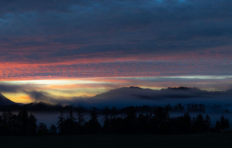 Lynn HarnishCAPA 2024 Nature-WildlifeThe Sky Has a Lot to Say