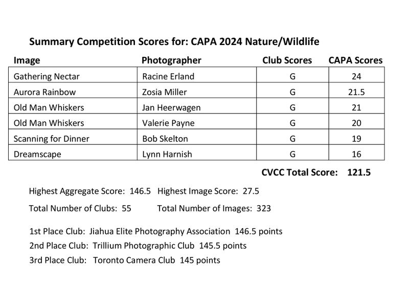 2024 SUMMARY of CVCC & CAPA Image Scores