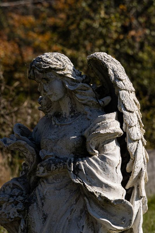 Lynn HarnishChurches & Grave Yards-Oct 1-16 2024The Guardian