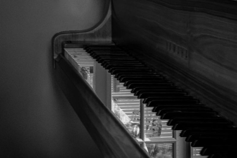 Lynn HarnishCAPA 2024 Black and WhiteTickle the Ivory