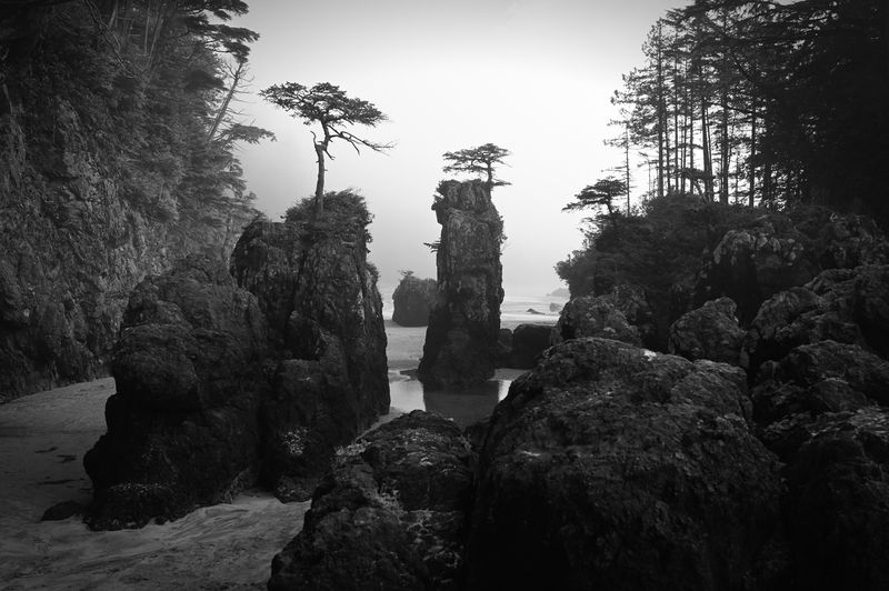 Pam DobbsCAPA 2024 Black and WhiteStacks of the Salish Sea 23 Points