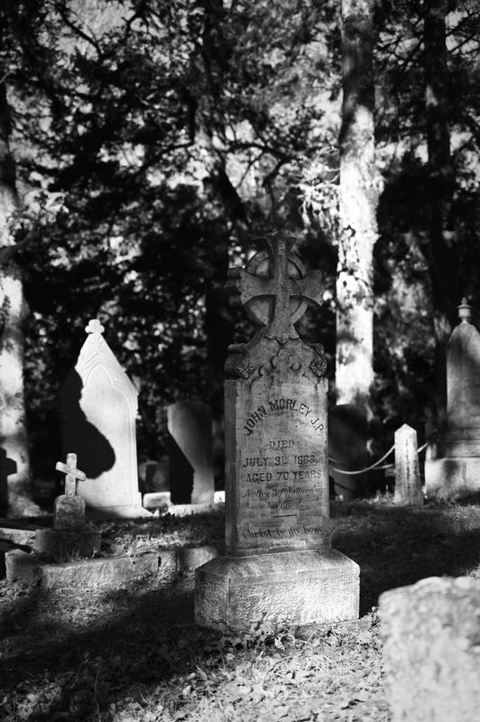 Pam DobbsChurches & Graveyards - Oct 1-16, 2024Title