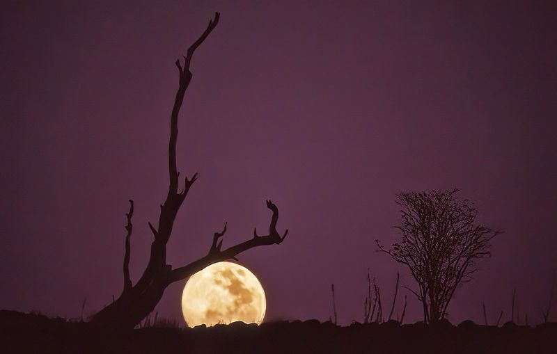 Bob Skelton2025 North Shore Photographic Challenge Desert Moon Rising18.5 pts