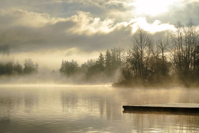 Marilyn Jeffries2025 North Shore Photographic Challenge Morning Mist Rising