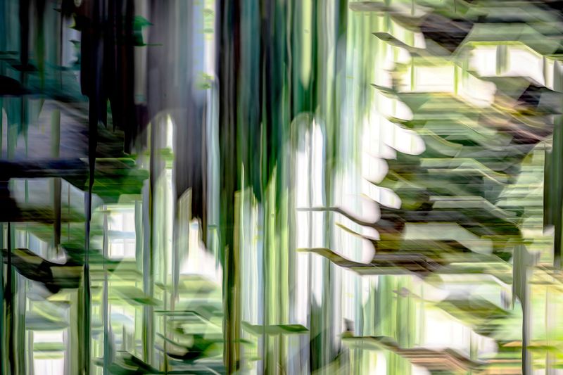 * CAPA Fine Art: Multiple Galleries
