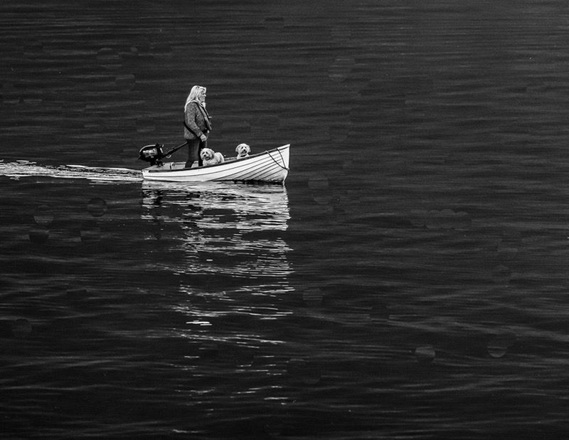 Ed Taje2025 CAPA Canada My CountryDogs Life West Coast