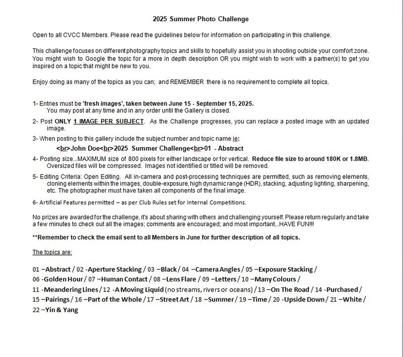 2025 Summer Challenge Details & Topics