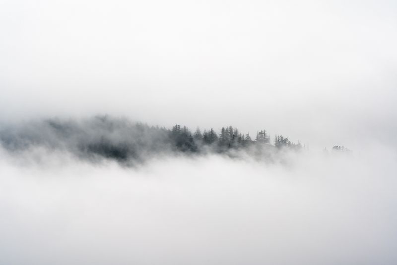Valerie Payne2025 Pacific ChallengeCloaked in Fog