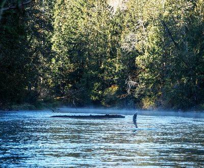 <br>Jennifer Carlstrom<br>November 2022<br>Jumping Jane