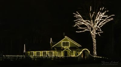 <br>Racine Erland<br>Christmas Lights-December 2022<br>White Christmas