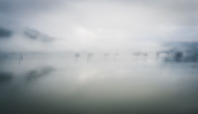 Cowichan Bay / Hecate Park - January 2 - 14, 2023