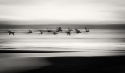 g13/54/364954/3/173381883.8e23ad5a.JPEG