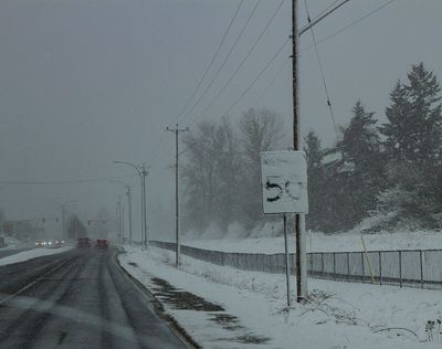 g13/54/364954/3/173437074.57f6f9e4.JPEG