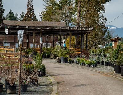 <br>Ed Taje<br>Dinters Nursery<br>March 2023<br> Walkway between the Plants