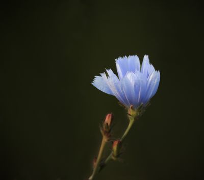 g13/54/364954/3/173501969.94f95349.JPEG