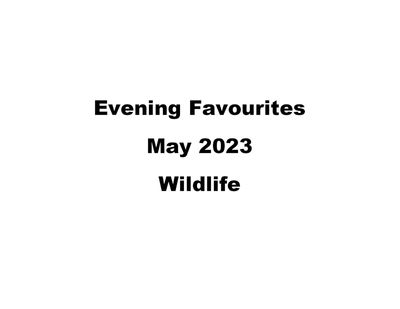 <br>Evening Favourites - Wildlife<br>May 2023<br>Image Title