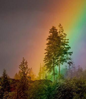 <br>Racine Erland<br>CAPA 2023 Canada My Country<br>Land of Rainbows