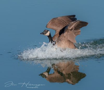 <br>Jan Heerwagen<br>May 2023<br>A Wake Creator