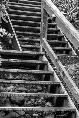 g13/54/364954/3/173744708.9e5ffc84.JPEG