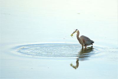 Photos of the Month - June 2023