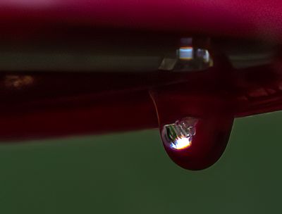 g13/54/364954/3/173833723.f4aa5fa6.JPEG