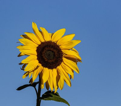 g13/54/364954/3/174013390.48fbe8ea.JPEG