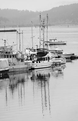 g13/54/364954/3/174136242.db05c314.JPEG