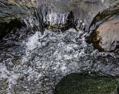 g13/54/364954/3/174305664.f77c7cad.JPEG