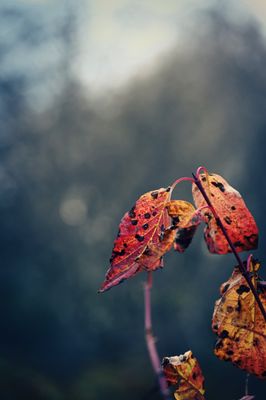 Photos of the Month - November 2023