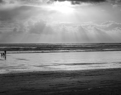 g13/54/364954/3/174348711.01cb1cf2.JPEG