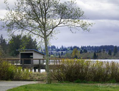 <br>Racine Erland<br>Rivers & Features Associated with Rivers<br> Field Trip - April 1-14, 2024<br>Viewing Blind on the Estuary