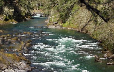 <br>Willie Harvie<br>Rivers<br>Field trip April 1 - 14th, 2024<br>Skutz Falls