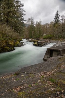 <br>Claus Madsen<br>Rivers<br>Field Trip April 1 - 14th,2024 <br>Cowichan River At Skutz Falls<br>