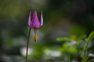 g13/54/364954/3/174494457.c41a80c2.JPEG
