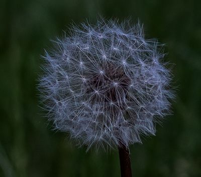 g13/54/364954/3/174513047.8bb1466e.JPEG