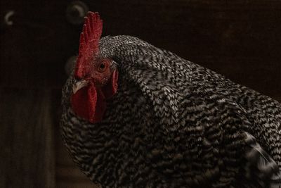 g13/54/364954/3/174903487.ab021574.JPEG