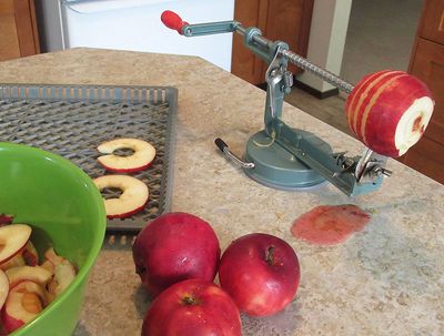 <br>Willie Harvie<br>Capturing the moment Sept. 1 - 30<br>Making Apple Chips